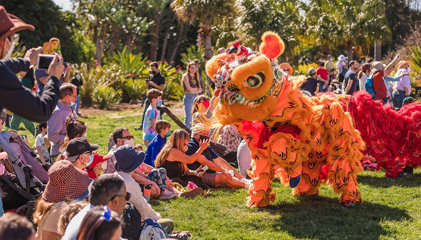 Lunar New Year 2023: Celebrate the Year of the Rabbit with Bay Area  parades, festivals and more